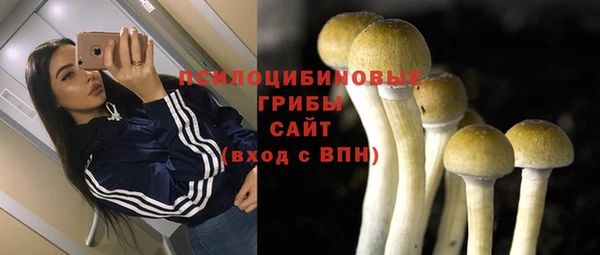 ECSTASY Алзамай