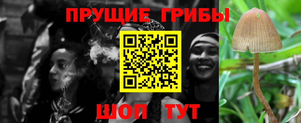 Псилоцибиновые грибы GOLDEN TEACHER  Вход с VPN  Благовещенск 